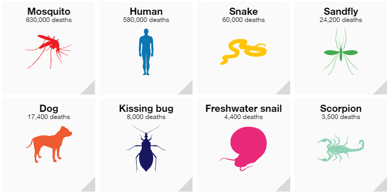 136662bc-aad4-419b-a909-d5111ad58739