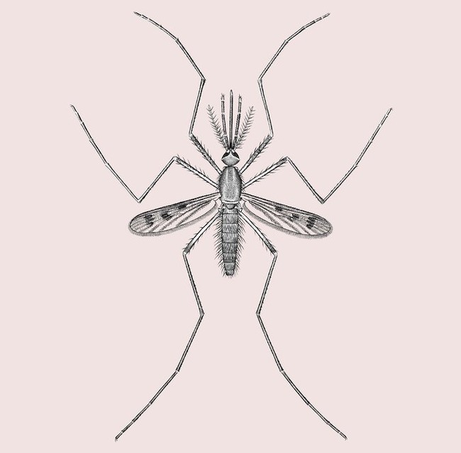 4d92fee5-352f-49ec-ae9a-152ce97fd69e