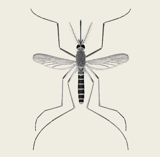 93806669-3722-4414-815b-b51c1bda8298