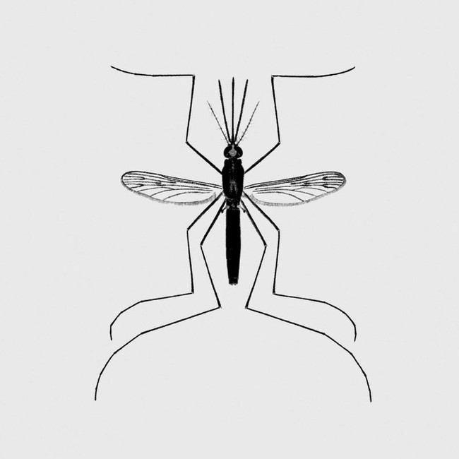 ba1ae4de-e030-4ccb-9d1b-6be10383d57e