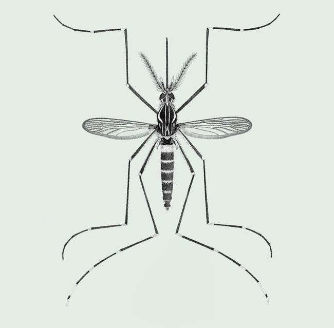 f60045a8-5961-4531-a46d-cd58996bf0c1